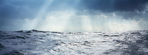 Michael Berman Photography